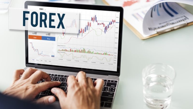 Choose Your Forex Trading Account With Your Own Preferences